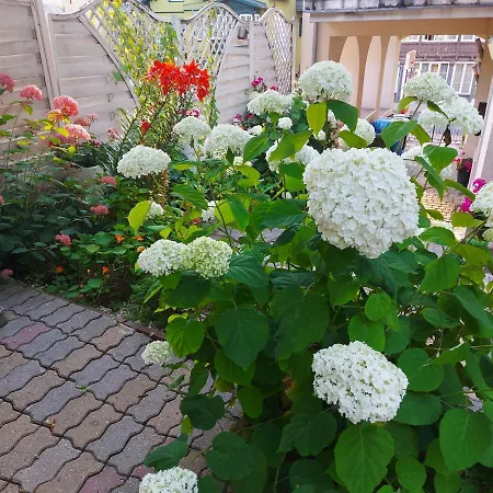 Miedzyzdroje Noclegi Miedzyzdroje