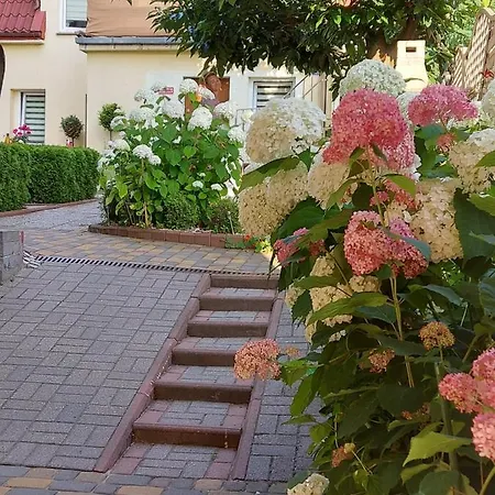 Homestay Miedzyzdroje Noclegi *